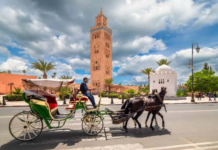 Marrakech: 1-Hour Traditional Horse-Drawn Carriage Tour - A slow introduction to Marrakech from the carriage