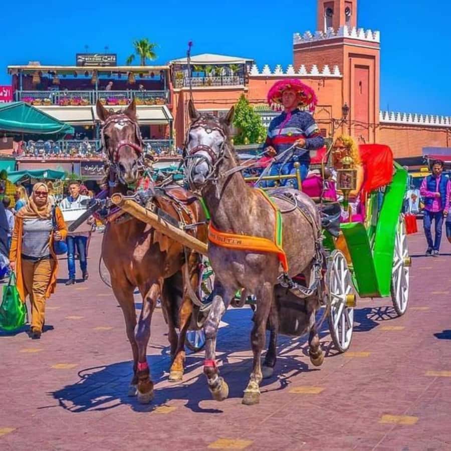 Marrakech: 1-Hour Traditional Horse-Drawn Carriage Tour - Jemaa el-Fnaa, Marrakech’s great public square
