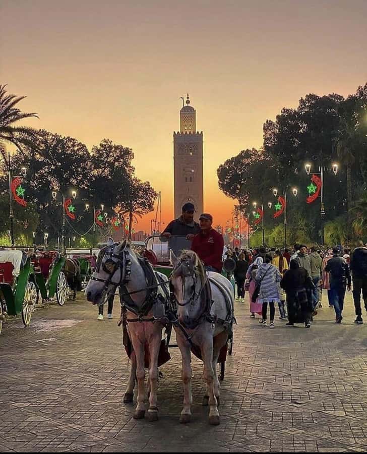 Marrakech: 1-Hour Traditional Horse-Drawn Carriage Tour - Medina gates and the old and new city