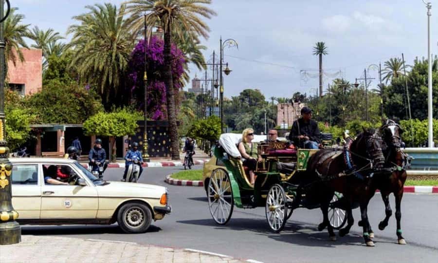 Marrakech: 1-Hour Traditional Horse-Drawn Carriage Tour - What the guide adds to the ride