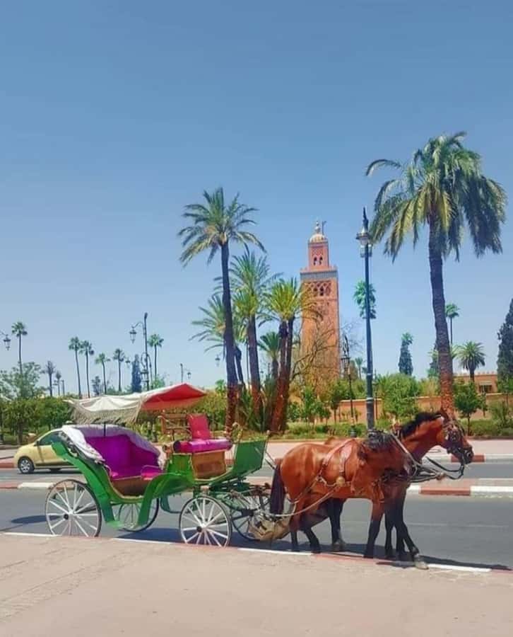 Marrakech: 1-Hour Traditional Horse-Drawn Carriage Tour - Who will enjoy this most