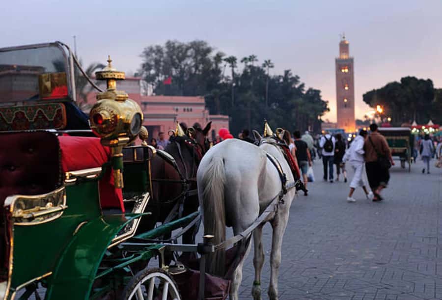 Marrakech: 1-Hour Traditional Horse-Drawn Carriage Tour - What you see around Jemaa el-Fnaa and Koutoubia