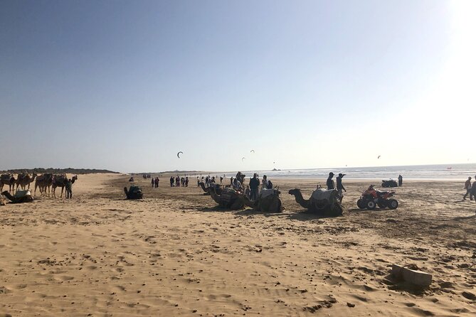 Marrakech Day Trip to Essaouira - Horseback, Camel Ride, ATV on the Beach - The long road from Marrakech to the Atlantic