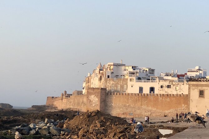 Marrakech Day Trip to Essaouira - Horseback, Camel Ride, ATV on the Beach - What the $50 price really covers