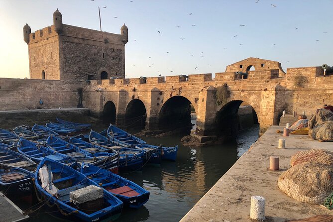Marrakech Day Trip to Essaouira - Horseback, Camel Ride, ATV on the Beach - Who will enjoy this day trip