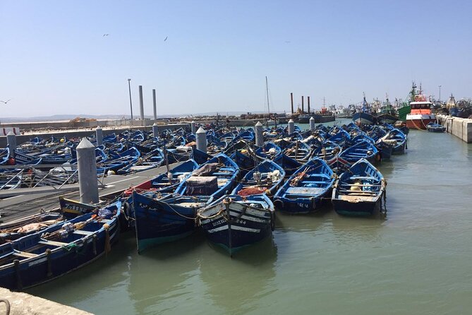 Marrakech Day Trip to Essaouira - Horseback, Camel Ride, ATV on the Beach - Finding lunch at the harbor