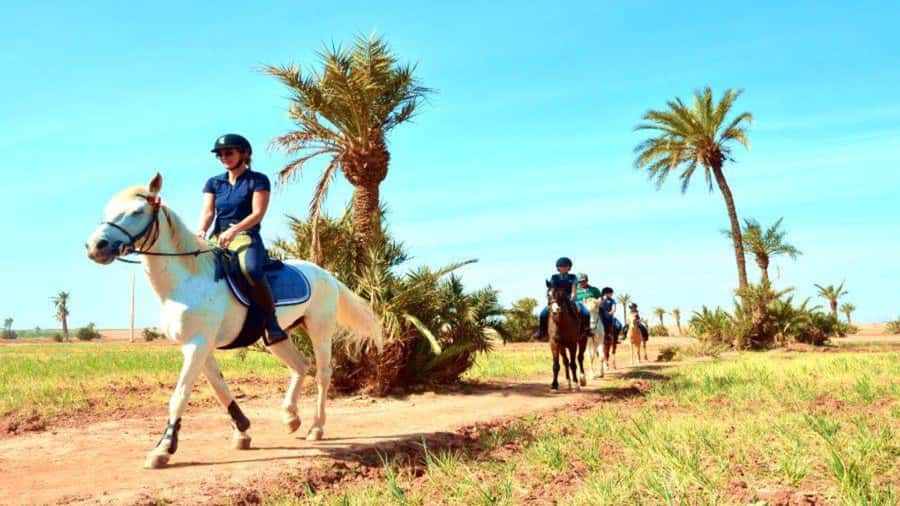 Marrakech: Desert and Palmeraie Horse Riding Tour & Transfer - A quiet start beside the Palmeraie