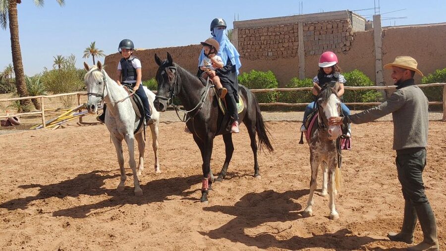 Marrakech: Desert and Palmeraie Horse Riding Tour & Transfer - How beginners and experienced riders can share the ride