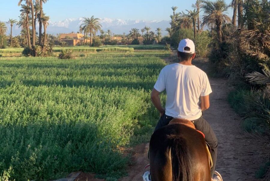 Marrakech: Desert and Palmeraie Horse Riding Tour & Transfer - The return transfer and practical timing