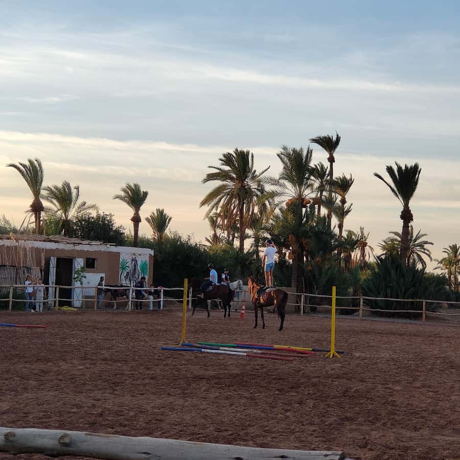 Marrakech: Desert and Palmeraie Horse Riding Tour & Transfer - Is $44 good value?