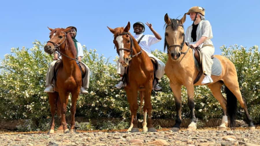 Marrakech: Desert and Palmeraie Horse Riding Tour & Transfer - Meeting the horses and getting ready