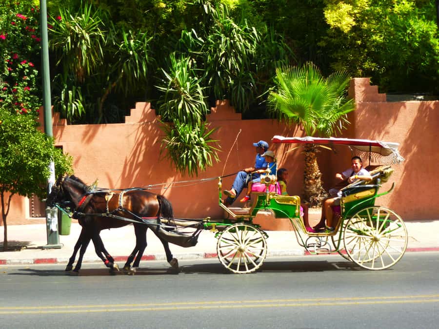 Marrakech: Horse-Drawn Carriage Tour - Key points to know before you book