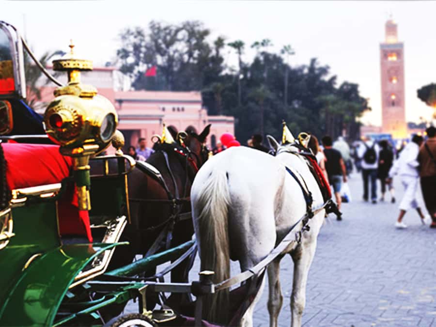 Marrakech: Horse-Drawn Carriage Tour - Agnaou Door and the southern Medina