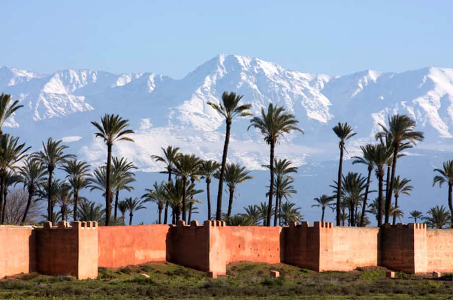 Marrakech: Horse-Drawn Carriage Tour - Jemaa El Fnaa in the evening
