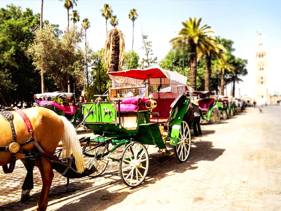 Marrakech: Horse-Drawn Carriage Tour - Pickup from your hotel or riad