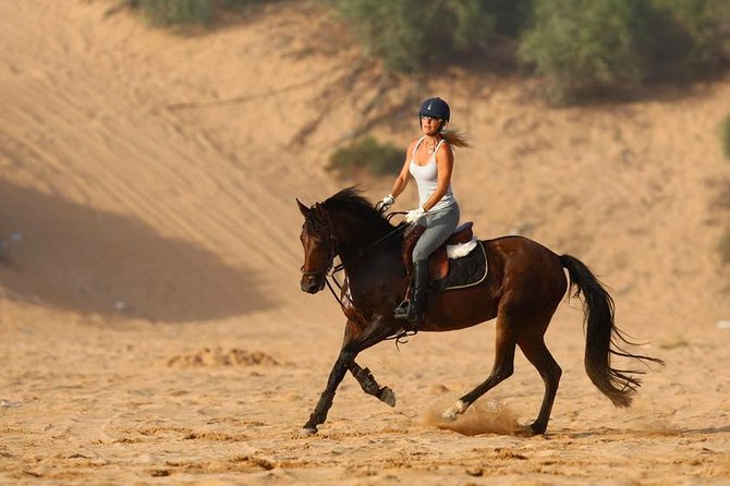 Marrakech Horse Riding - What the two-hour schedule really means