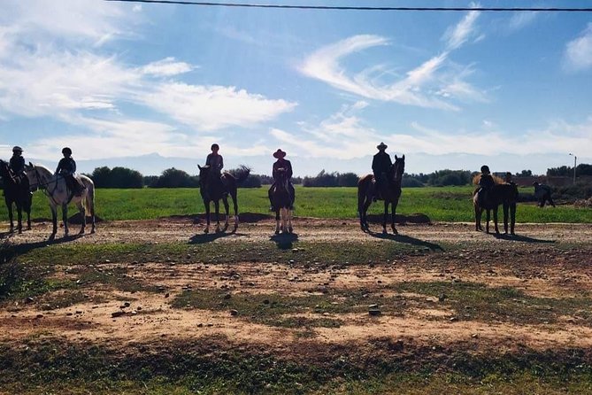Marrakech Horse Riding - Who will get the most from this ride
