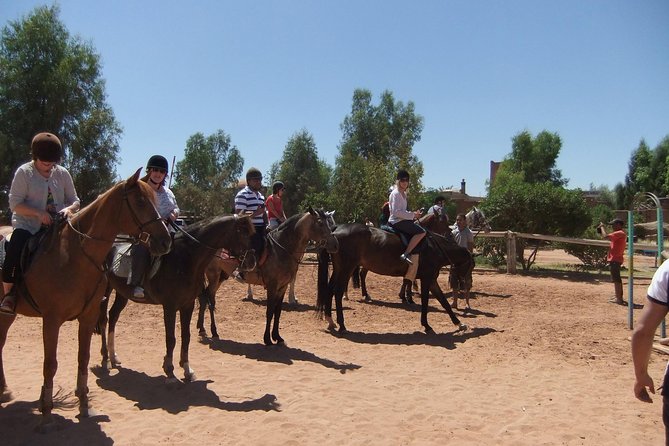 Marrakech Horse Riding - Practical details that can make the morning easier