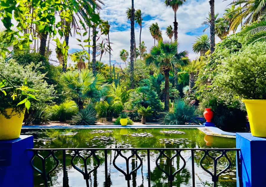 Marrakech: Majorelle & Menara Garden Tour and Carriage Ride - Why this three-hour route works in Marrakech