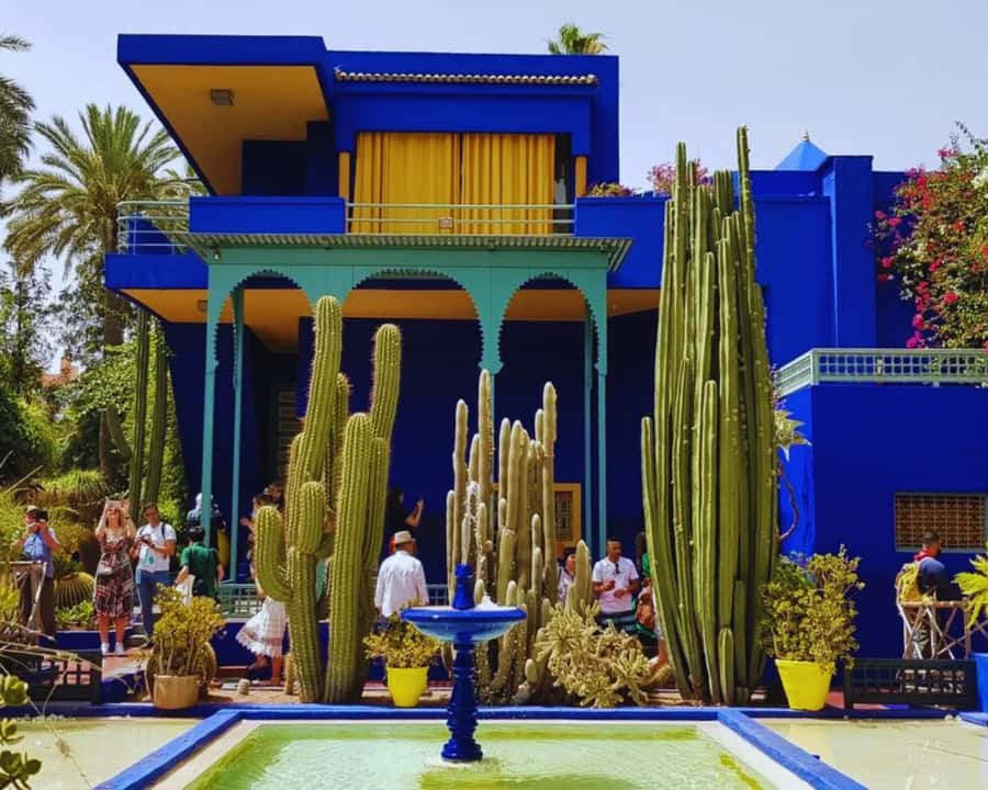 Marrakech: Majorelle & Menara Garden Tour and Carriage Ride - Menara Gardens: olive trees and Atlas Mountain views
