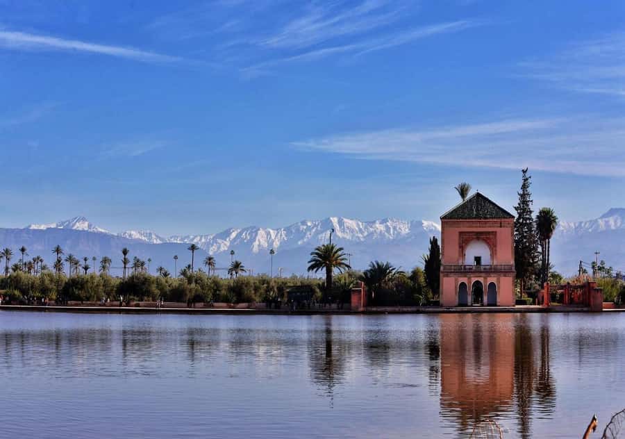 Marrakech: Majorelle & Menara Garden Tour and Carriage Ride - What the guide adds to the day