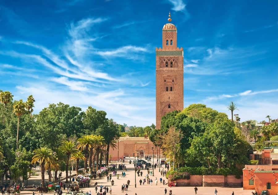 Marrakech: Majorelle & Menara Garden Tour and Carriage Ride - Is the $82 price good value?