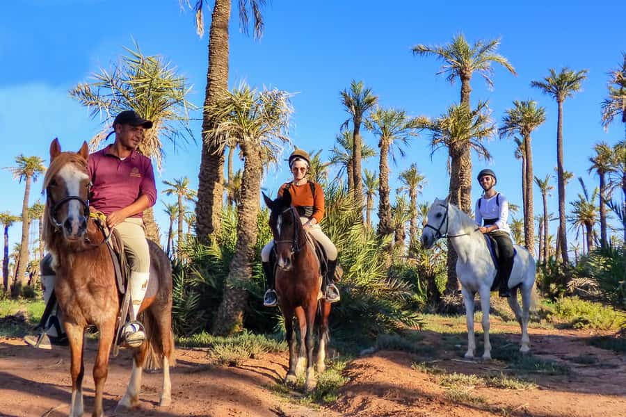Marrakech: Palm Grove Horseback Riding Tour - Quick points to know