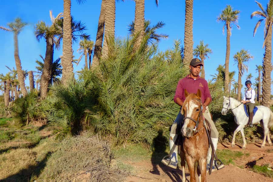 Marrakech: Palm Grove Horseback Riding Tour - Leaving Marrakech for the Palmeraie