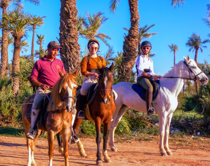 Marrakech: Palm Grove Horseback Riding Tour - Who should book this ride?