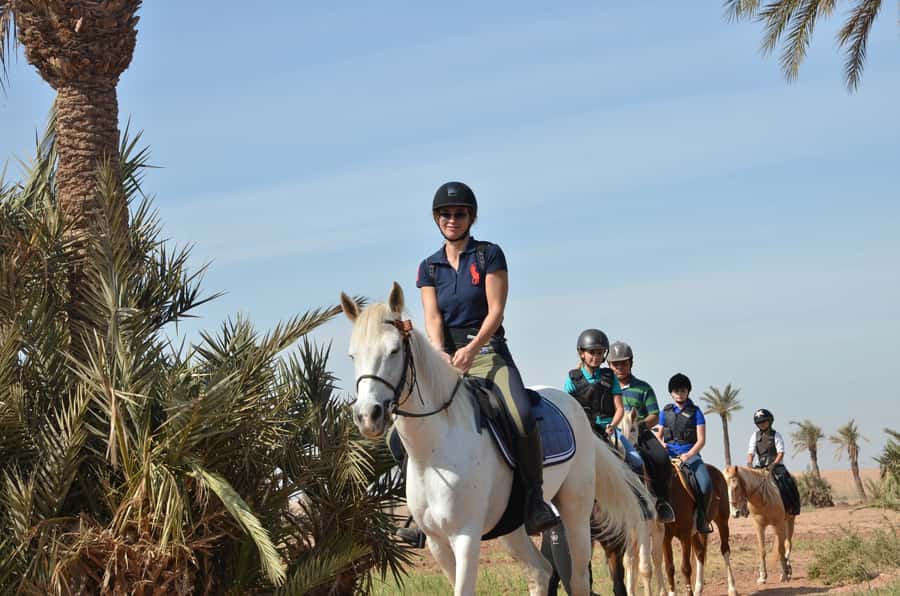 Marrakech: Palm Grove Horseback Riding Tour - Meeting the horses at the stable