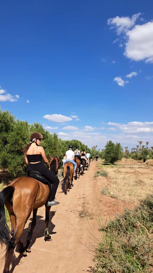 Marrakech: Private Horseback Tour in the Palm Grove with Tea - What makes this ride worth your morning