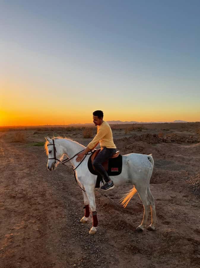 Marrakech: Private Horseback Tour in the Palm Grove with Tea - Leaving Marrakech for the Palmeraie