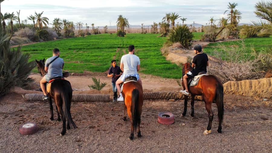 Marrakech: Private Horseback Tour in the Palm Grove with Tea - One hour among palms, olives, and local homes