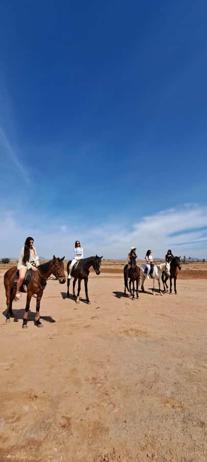 Marrakech: Private Horseback Tour in the Palm Grove with Tea - The small drawbacks to understand first
