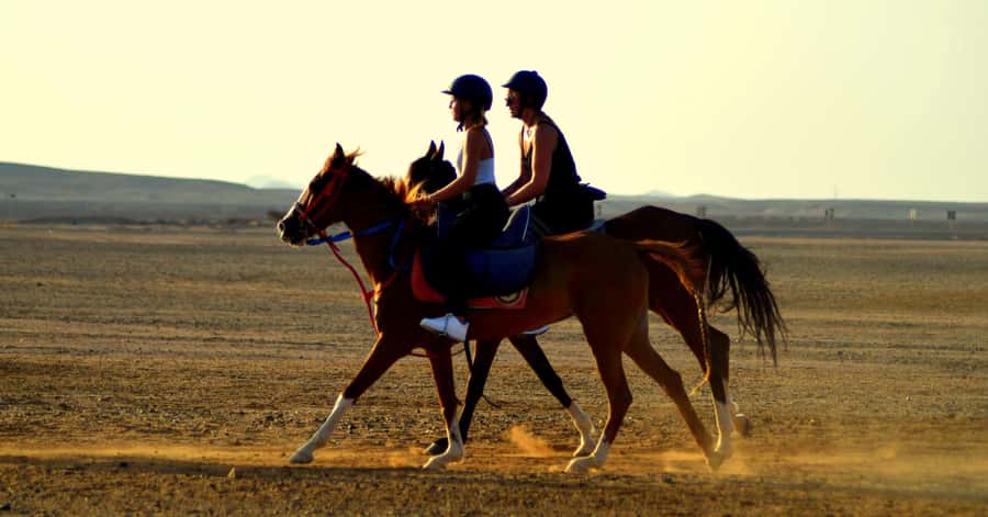 Marsa Alam: Sea and Desert Horse Riding Tour - Key points at a glance