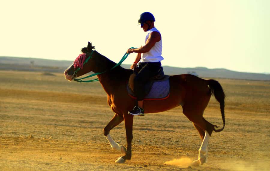 Marsa Alam: Sea and Desert Horse Riding Tour - Is $33 good value?