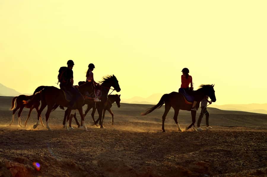 Marsa Alam: Sea and Desert Horse Riding Tour - From Marsa Alam’s desert to the Red Sea