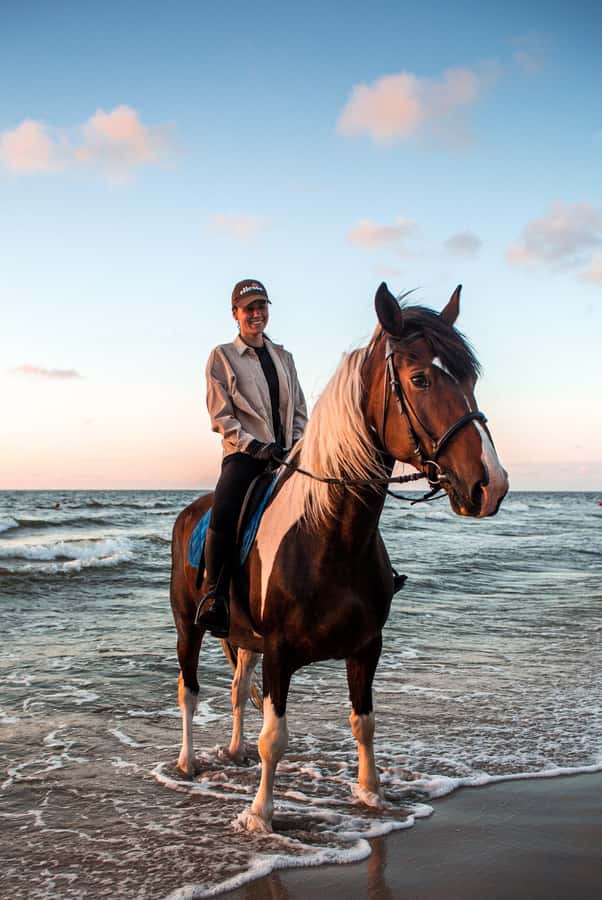 Marsa Alam: Sea and Desert Horse Riding Tour - Sunrise, morning, afternoon, or sunset