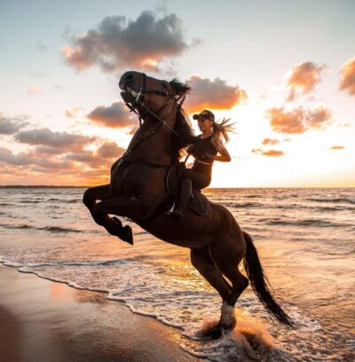 Sea and Desert Horse Riding Tour