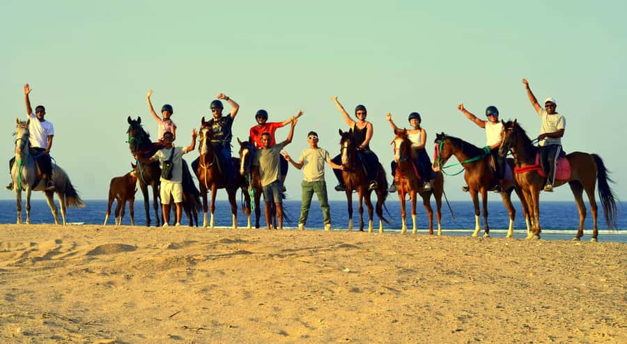 Marsa Alam: Sea and Desert Horse Riding Tour - What the horses and guides add