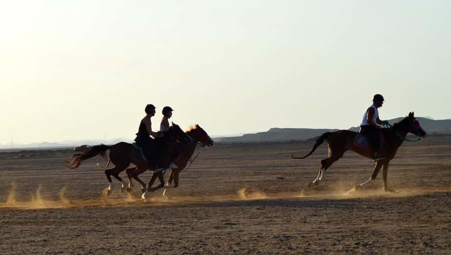 Marsa Alam: Sea and Desert Horse Riding Tour - Desert trails, beach riding, and photo stops