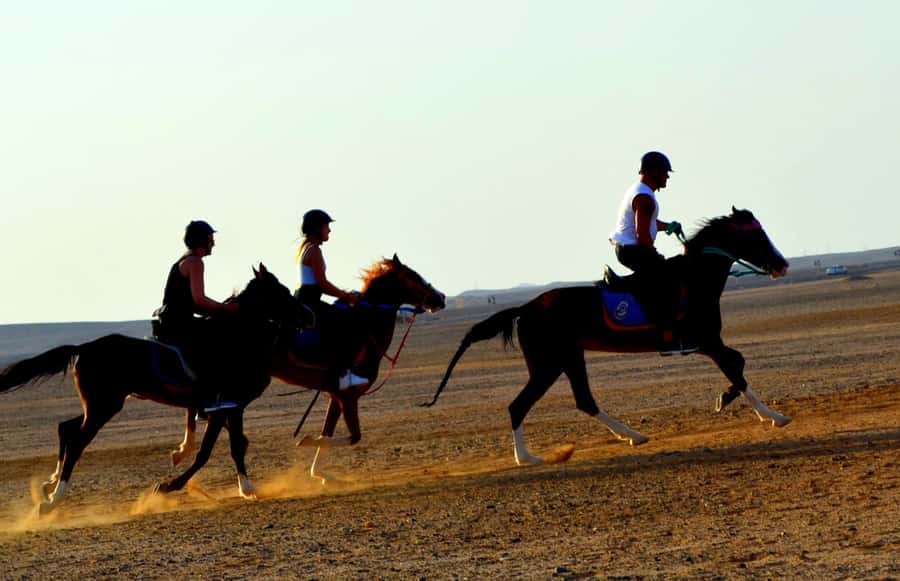 Marsa Alam: Sea and Desert Horse Riding Tour - Hotel pickup from Coraya to Marsa Alam City