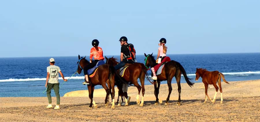 Marsa Alam: Sea and Desert Horse Riding Tour - What to wear and what not to bring