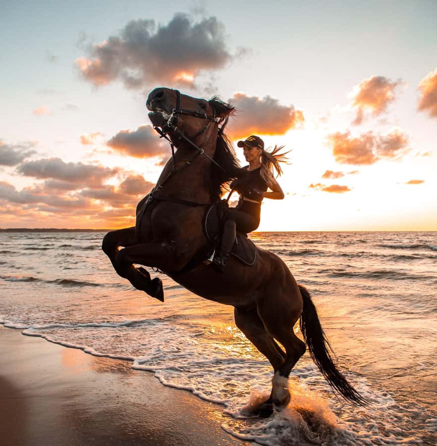 Marsa Alam: Sea and Desert Horse Riding Tour - Choosing between two hours and four hours