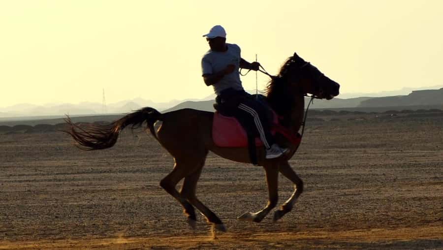 Marsa Alam: Sunrise Horseback with Breakfast - Following desert trails toward the Red Sea
