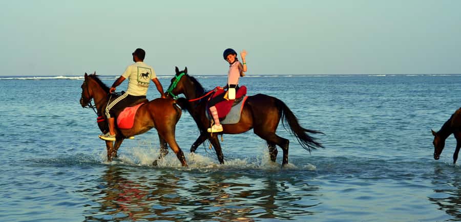 Marsa Alam: Sunrise Horseback with Breakfast - Choosing between two hours and the four-hour VIP ride