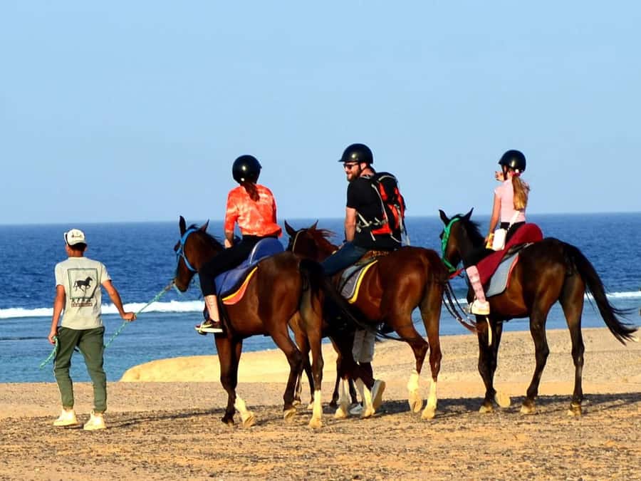 Marsa Alam: Sunrise Horseback with Breakfast - Comparing the transfer areas