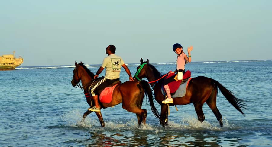 Marsa Alam: Sunrise Horseback with Breakfast - Is $26 good value?