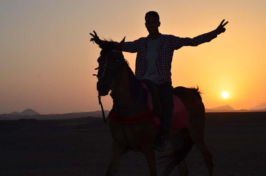 Marsa Alam: Sunset Horseback with Dinner, Show & Stargazing - Is $29 a good value?