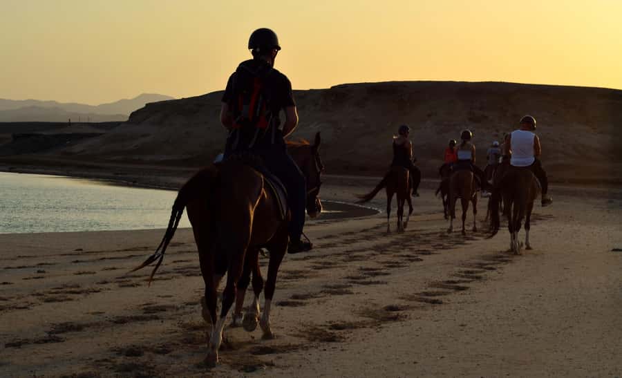 Marsa Alam: Sunset Horseback with Dinner, Show & Stargazing - Who will enjoy this experience most?